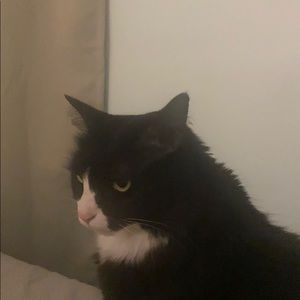 Meet your Posher, Analise